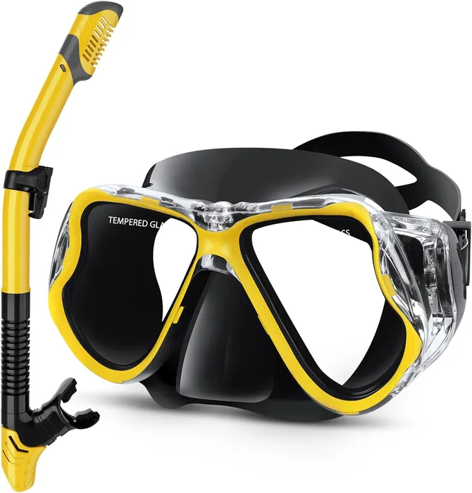 Snorkel Mask